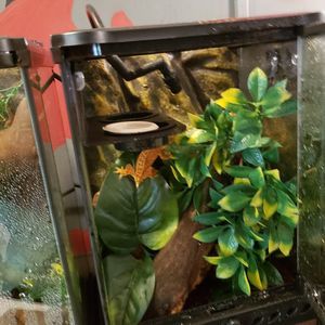 Meet your Posher, Carter